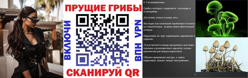 Галлюциногенные грибы Magic Shrooms  Нефтегорск 